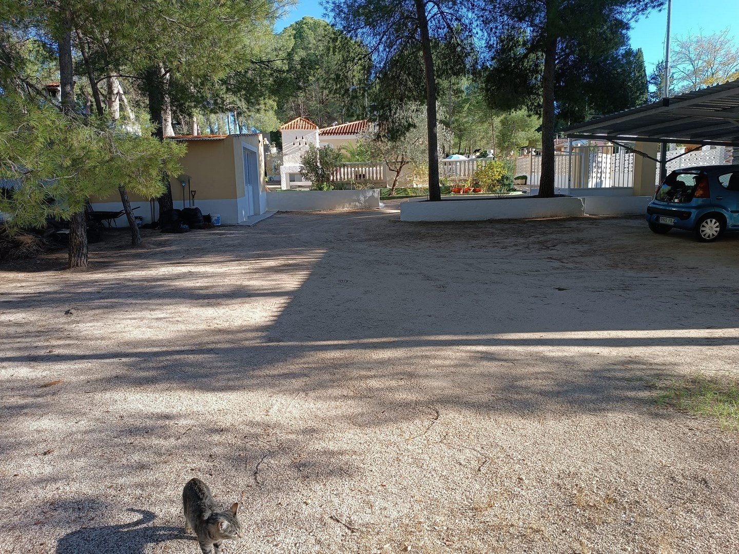 o_1j8oc06t0u6s5bh9p18f11nl724