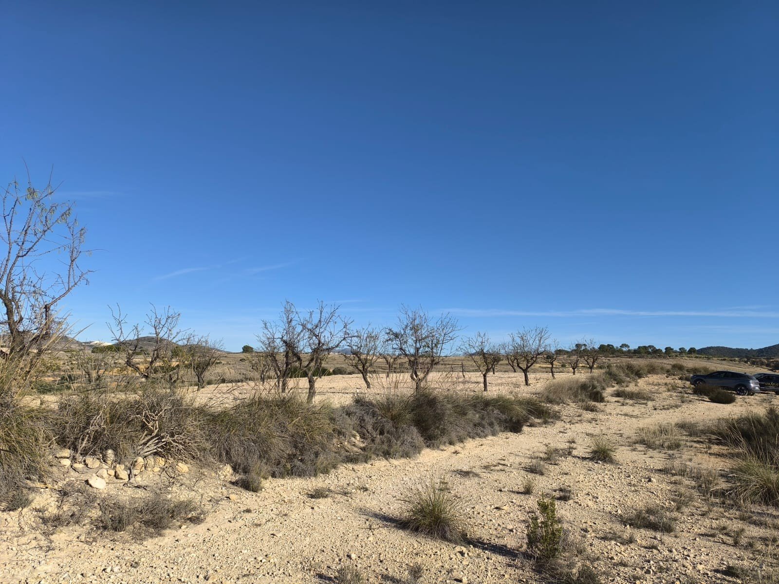 o_1jc1tk7p41les1bao1gcm19itclv1q