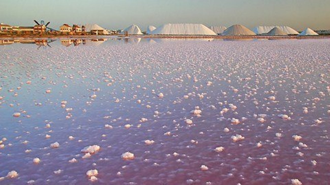 o_1jftqod8518vjsj1ce612mud528b