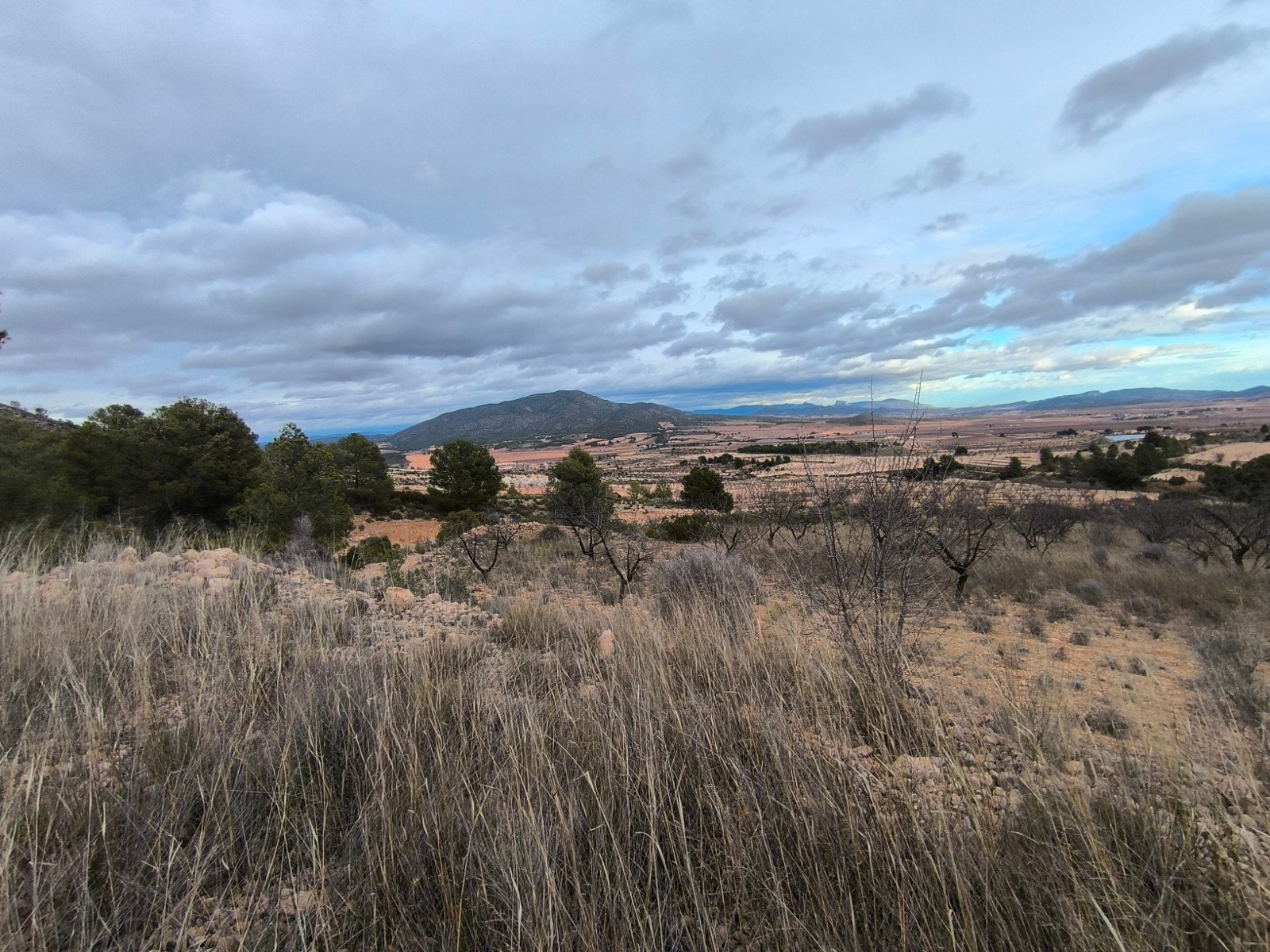 o_1jg78npqo1olk1ofn17j7f8vr4o1m