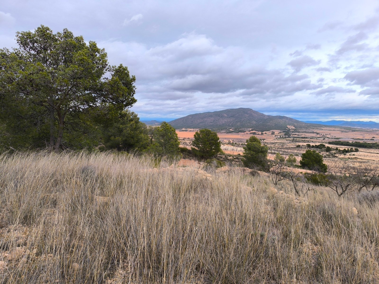 o_1jg78npqomd110ggsbdqucua31q