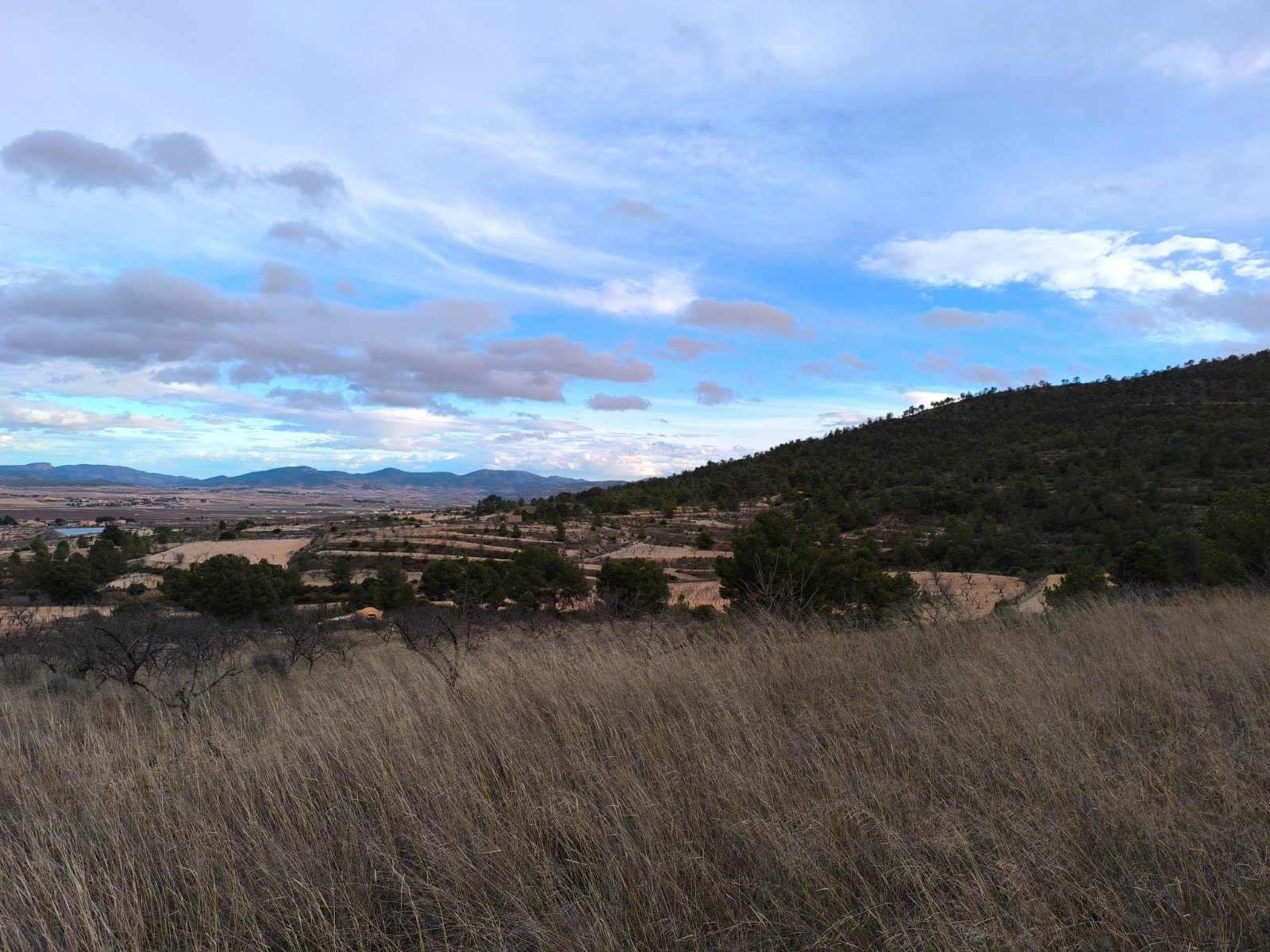 o_1jg78npqonistlb1ch011tv1q0s1o