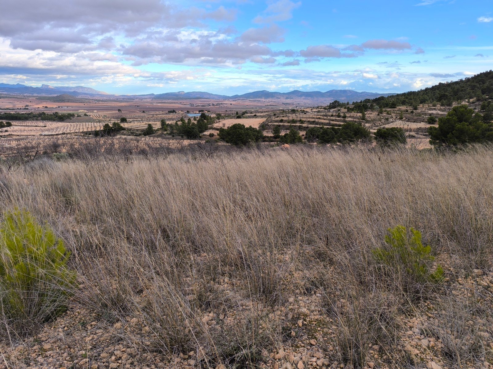 o_1jg78npqop3b1jgf1m36lscll41i