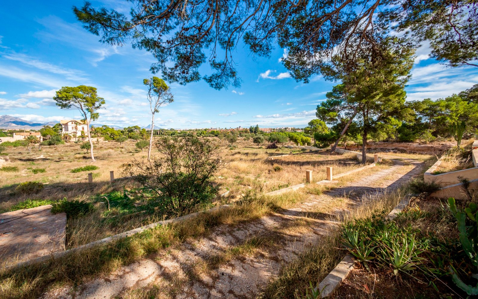 o_1jhlkso316j357su4u11q4gi82o