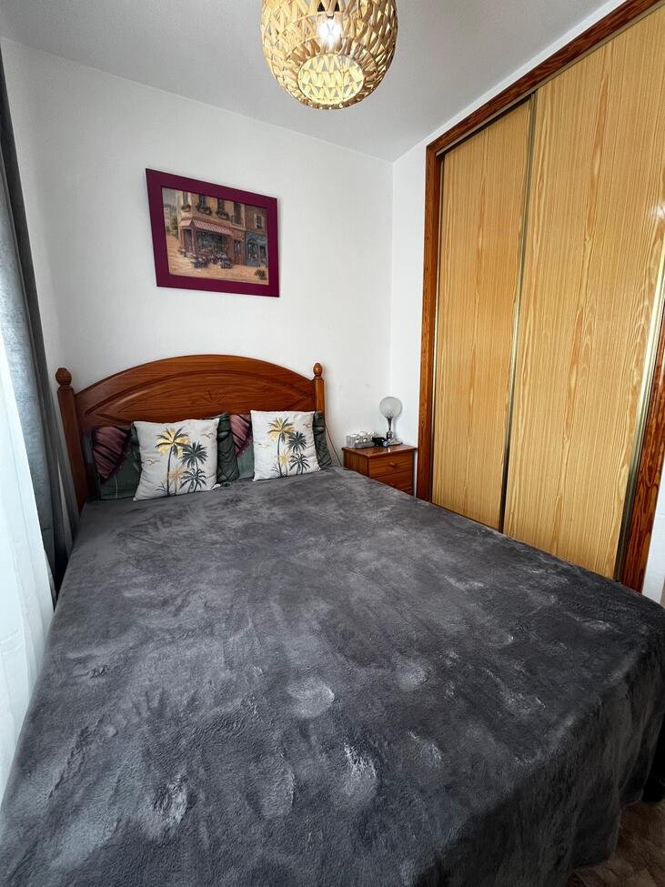 town-house-torrevieja-scp15687-10