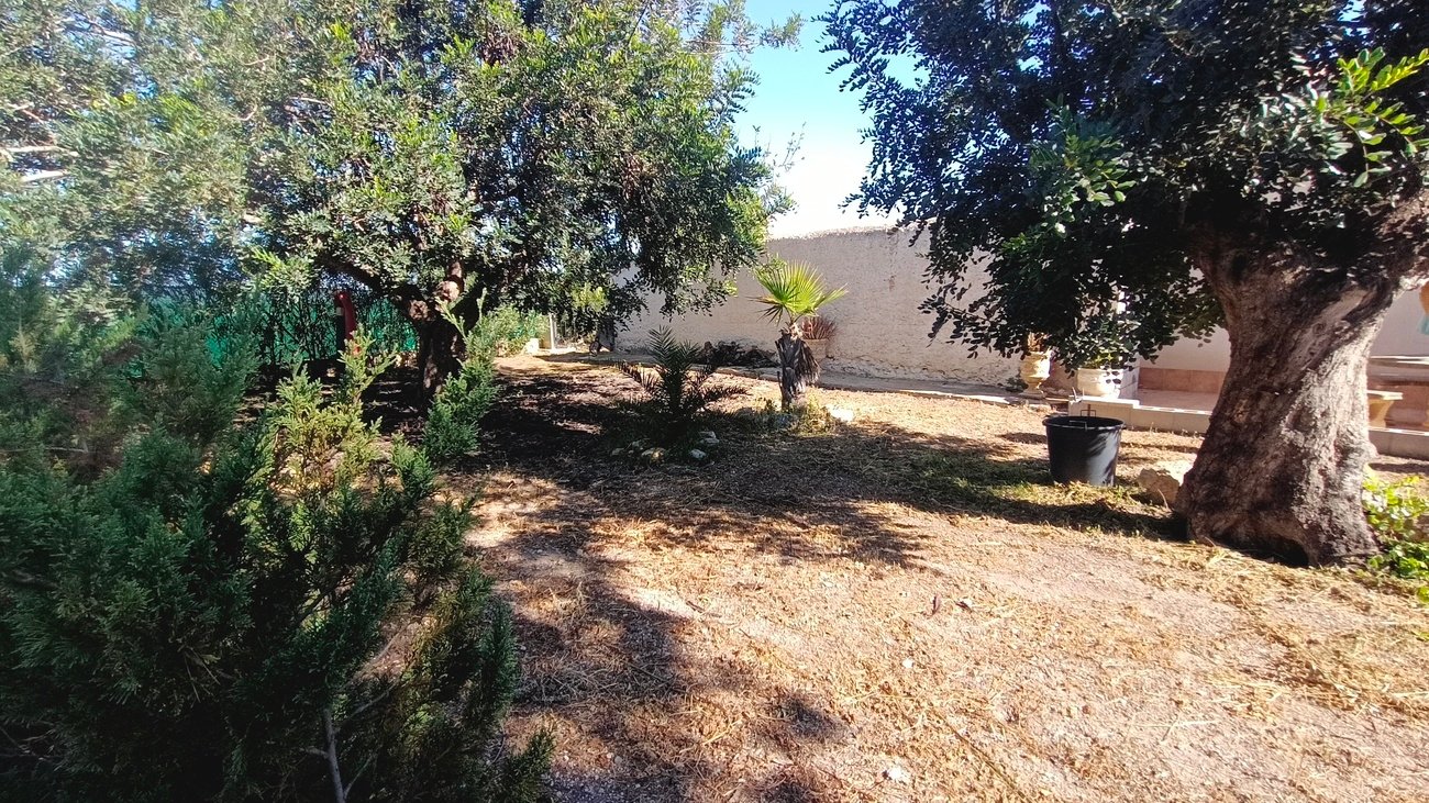 villa-avileses-mgh1908-46