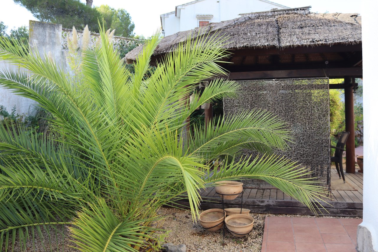 12062-villa-for-sale-in-murla-261103-large