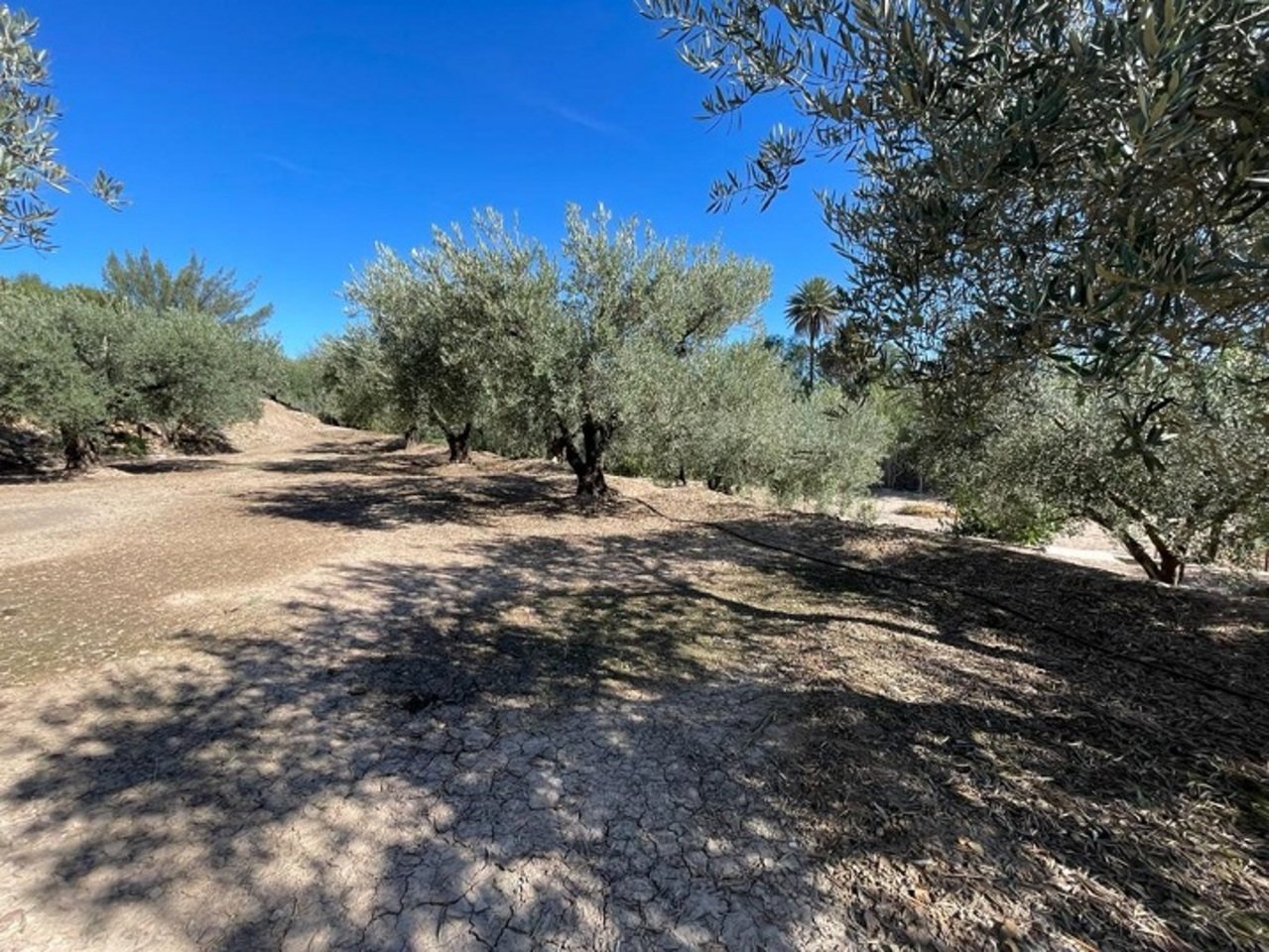 843-villa-for-sale-in-calasparra-22948-large