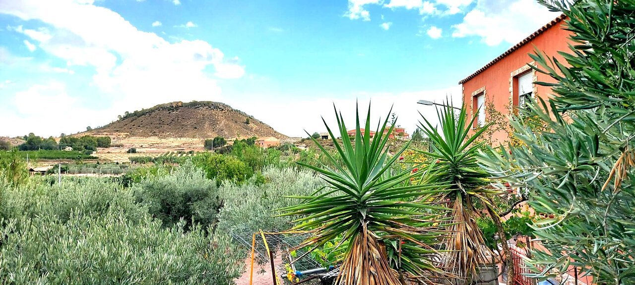 843-villa-for-sale-in-calasparra-25825-large