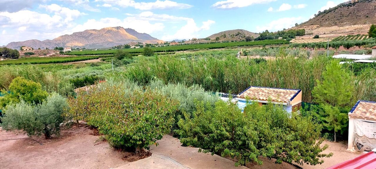 843-villa-for-sale-in-calasparra-25834-large