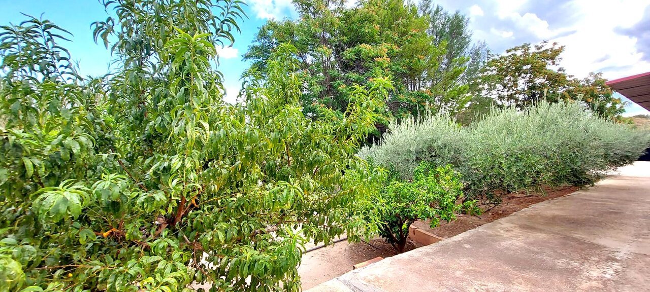 843-villa-for-sale-in-calasparra-25838-large