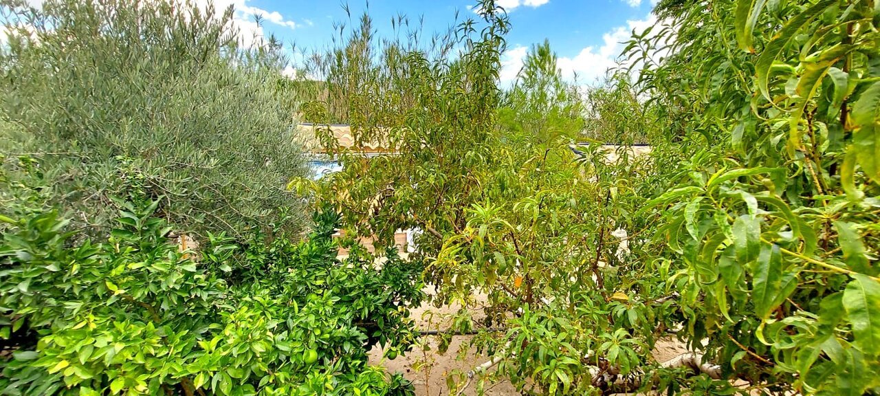 843-villa-for-sale-in-calasparra-25843-large