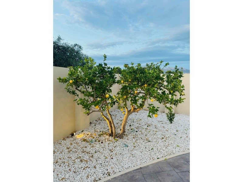 ID7802bf01-0000-0500-0000-0000185b1ada