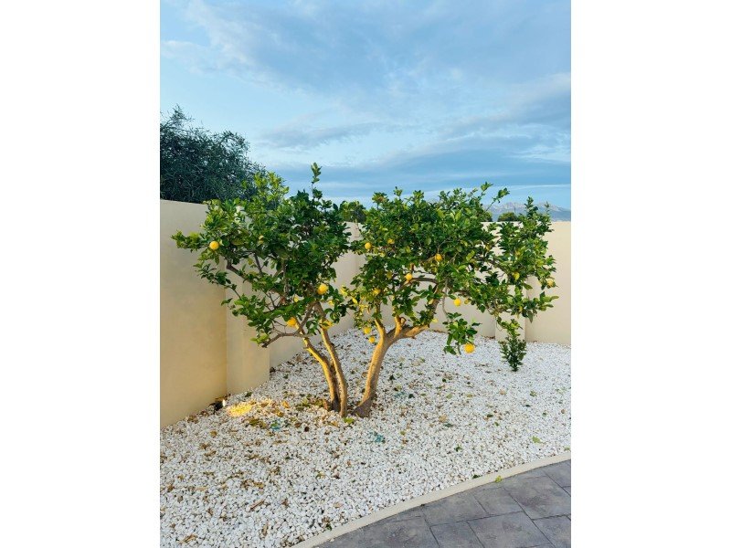 ID7802bf01-0000-0500-0000-0000185b1ae2