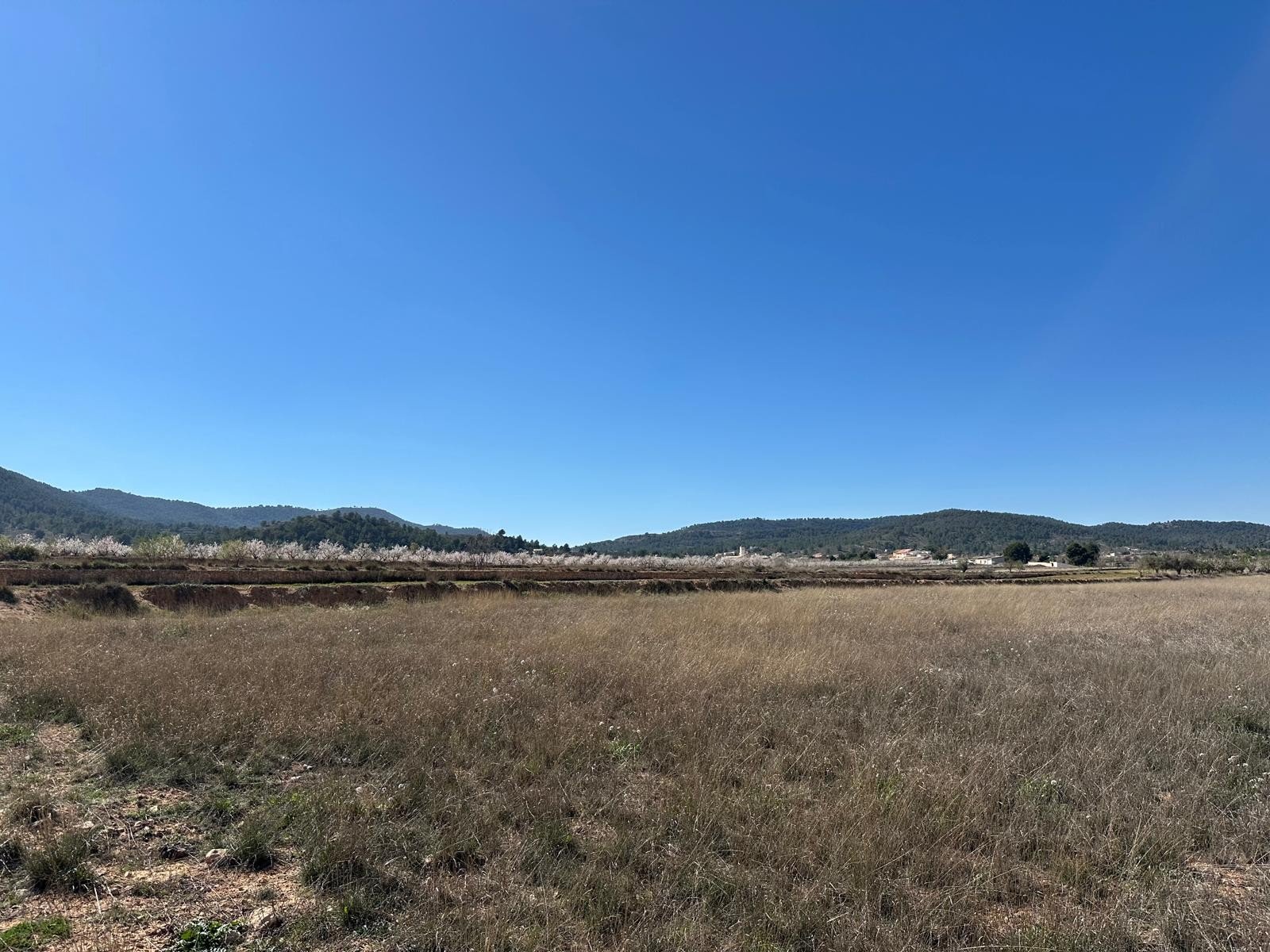 d699daf10d705b699daf10d70a2