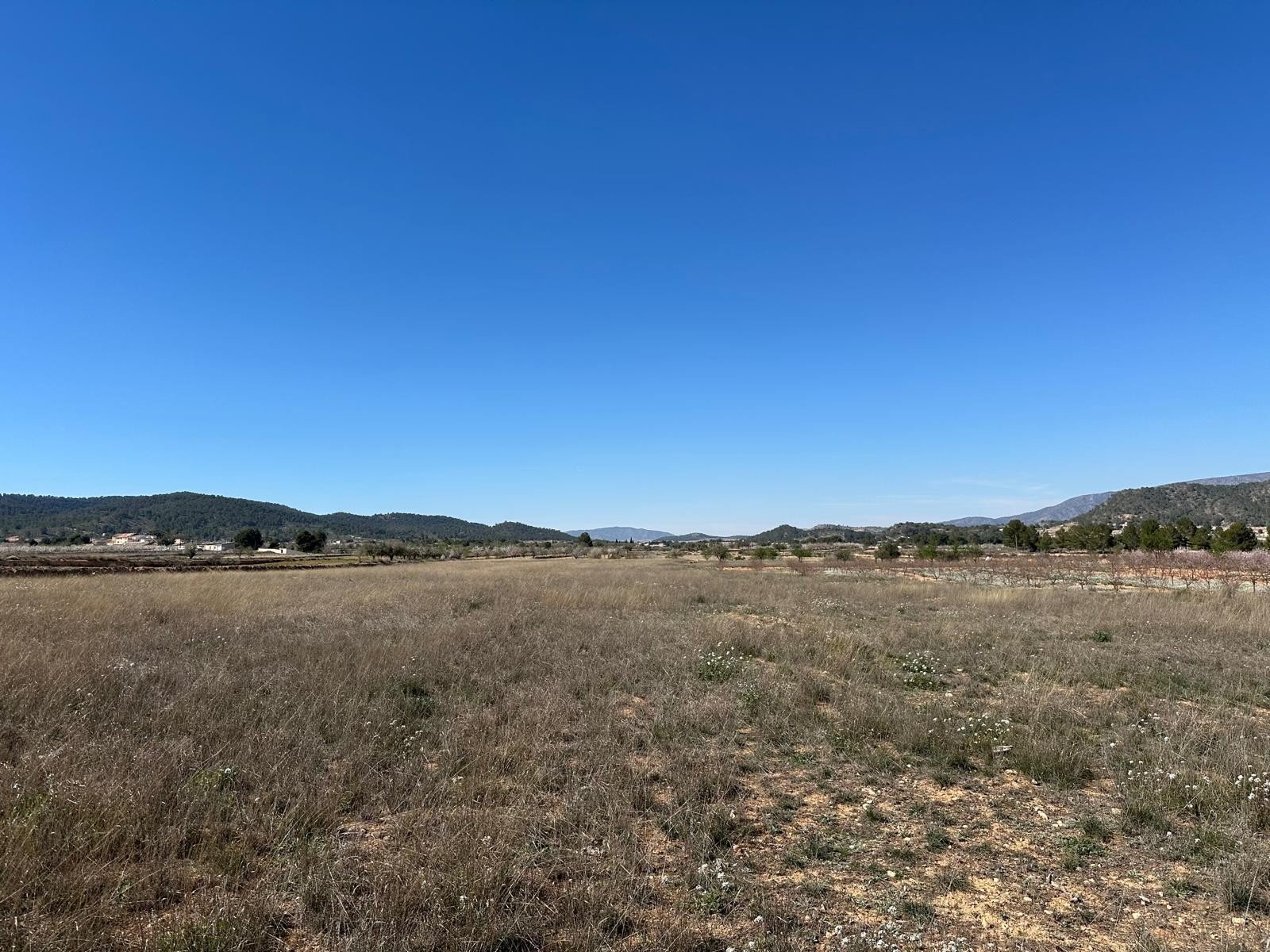 d699daf10d9fbc699daf10da001