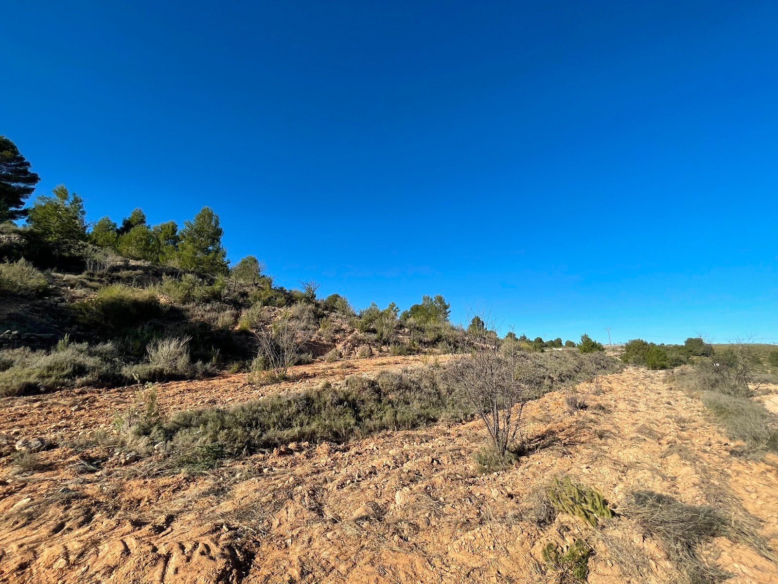 d69b8eebb62b1f69b8eebb62b67