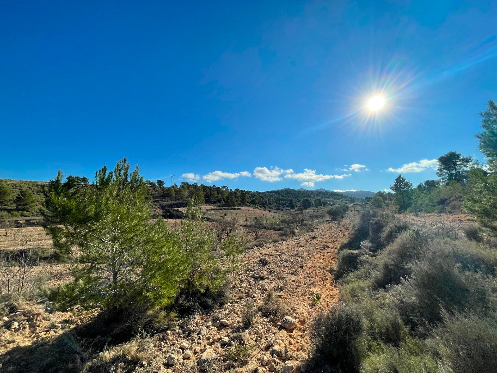 d69b8eee07d54b69b8eee07d593