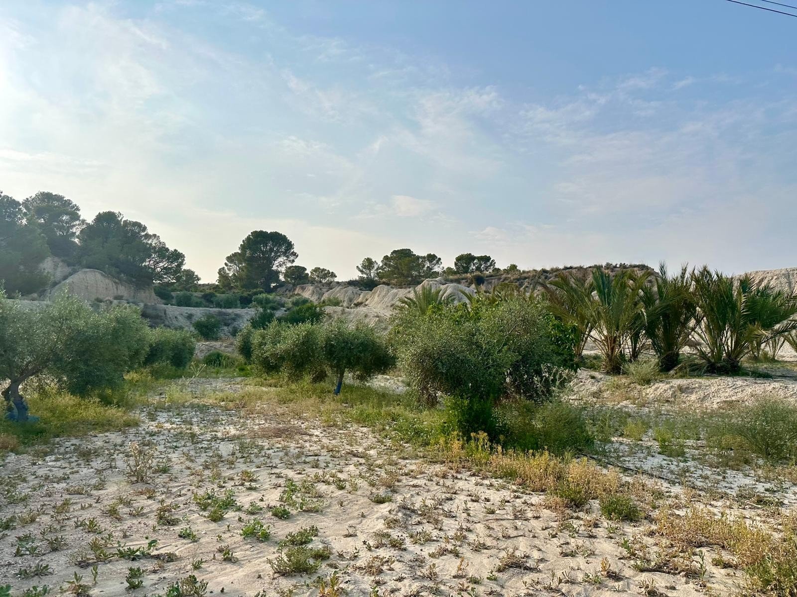 d69b8f0b2e0c8169b8f0b2e0d0e