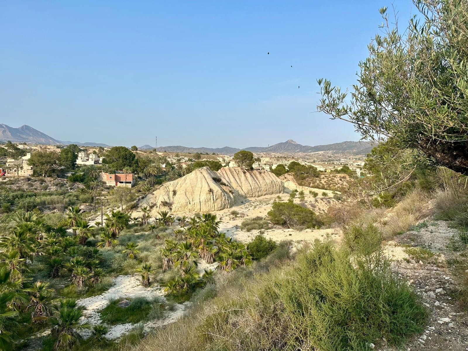 d69b8f0b2e4bde69b8f0b2e4c28