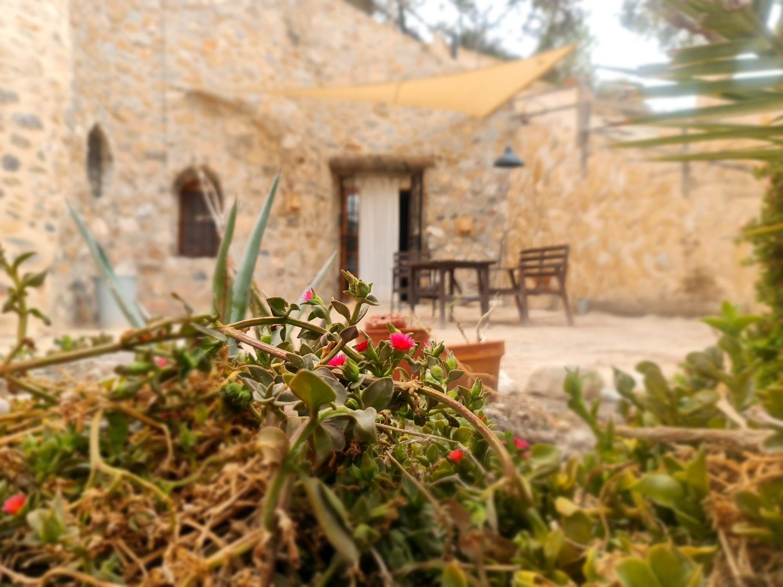 d69b8f0b2ea04f69b8f0b2ea095