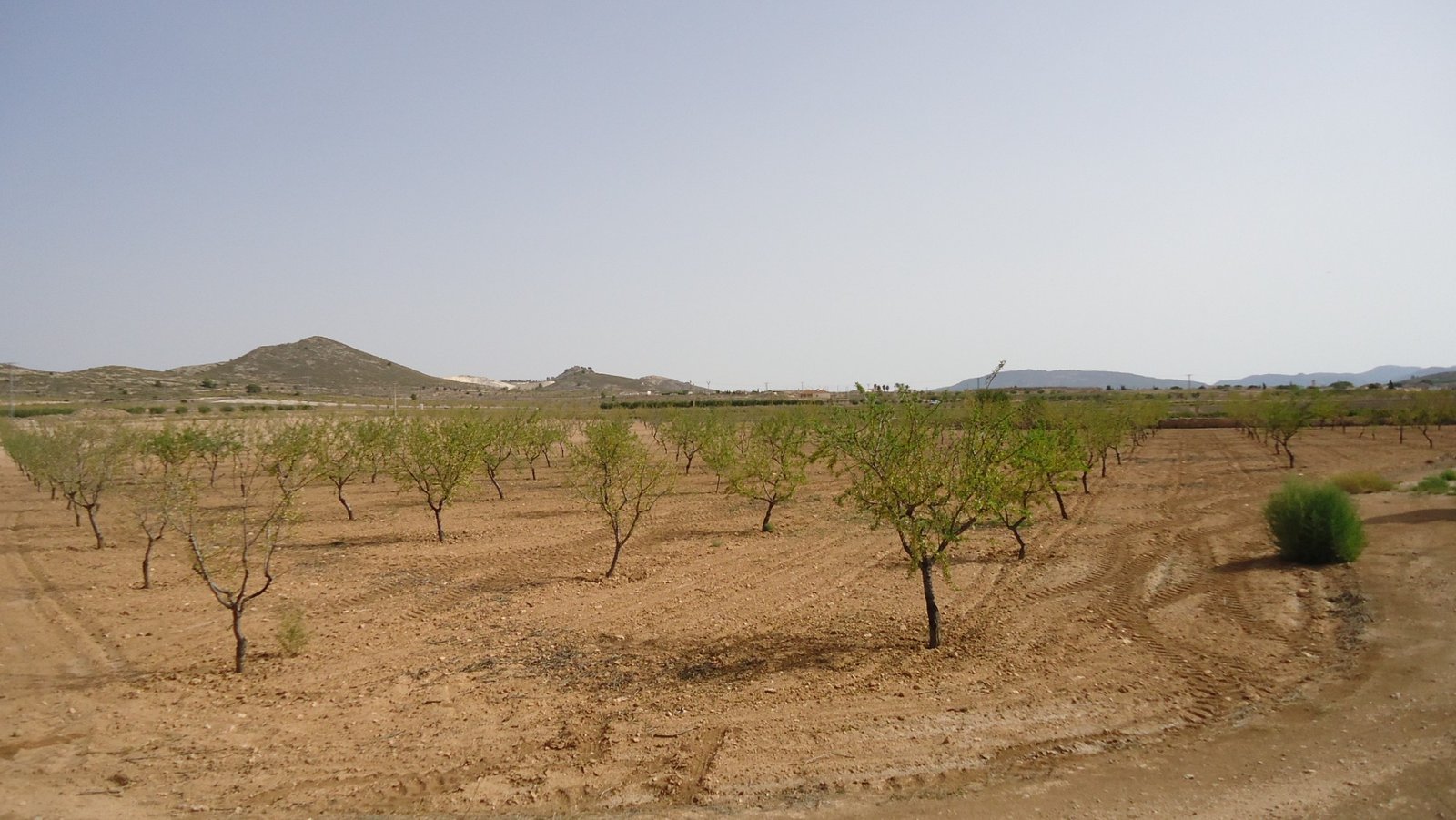 d69b8f2106202869b8f2106206f