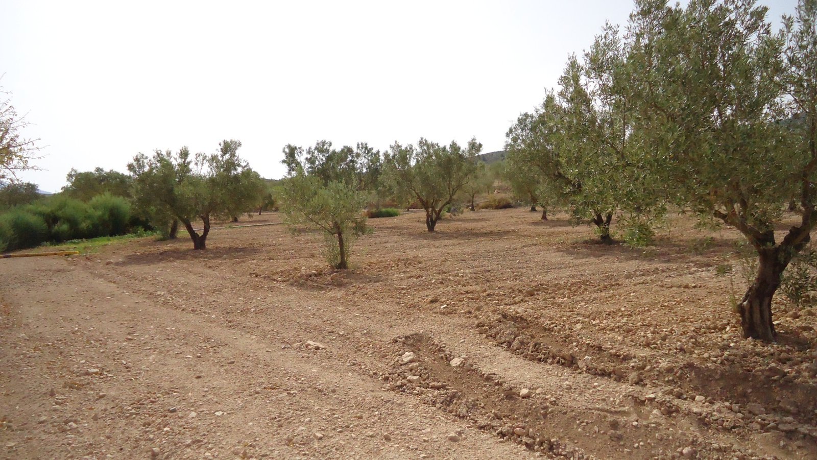 d69b8f2106470969b8f2106474f