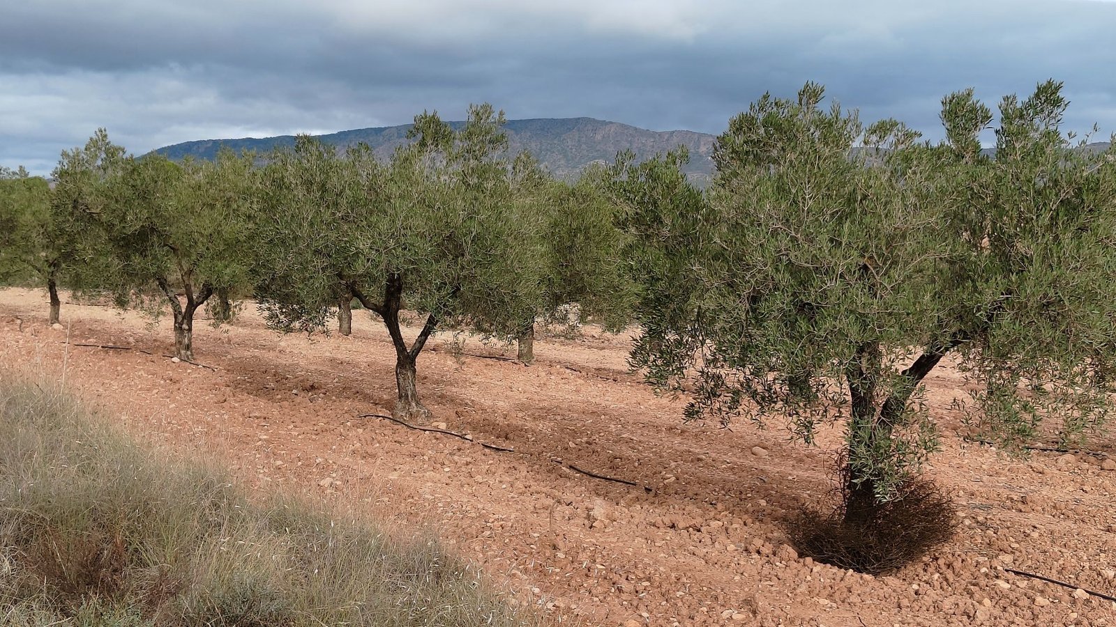 d69b8f4652ccb669b8f4652ccfd