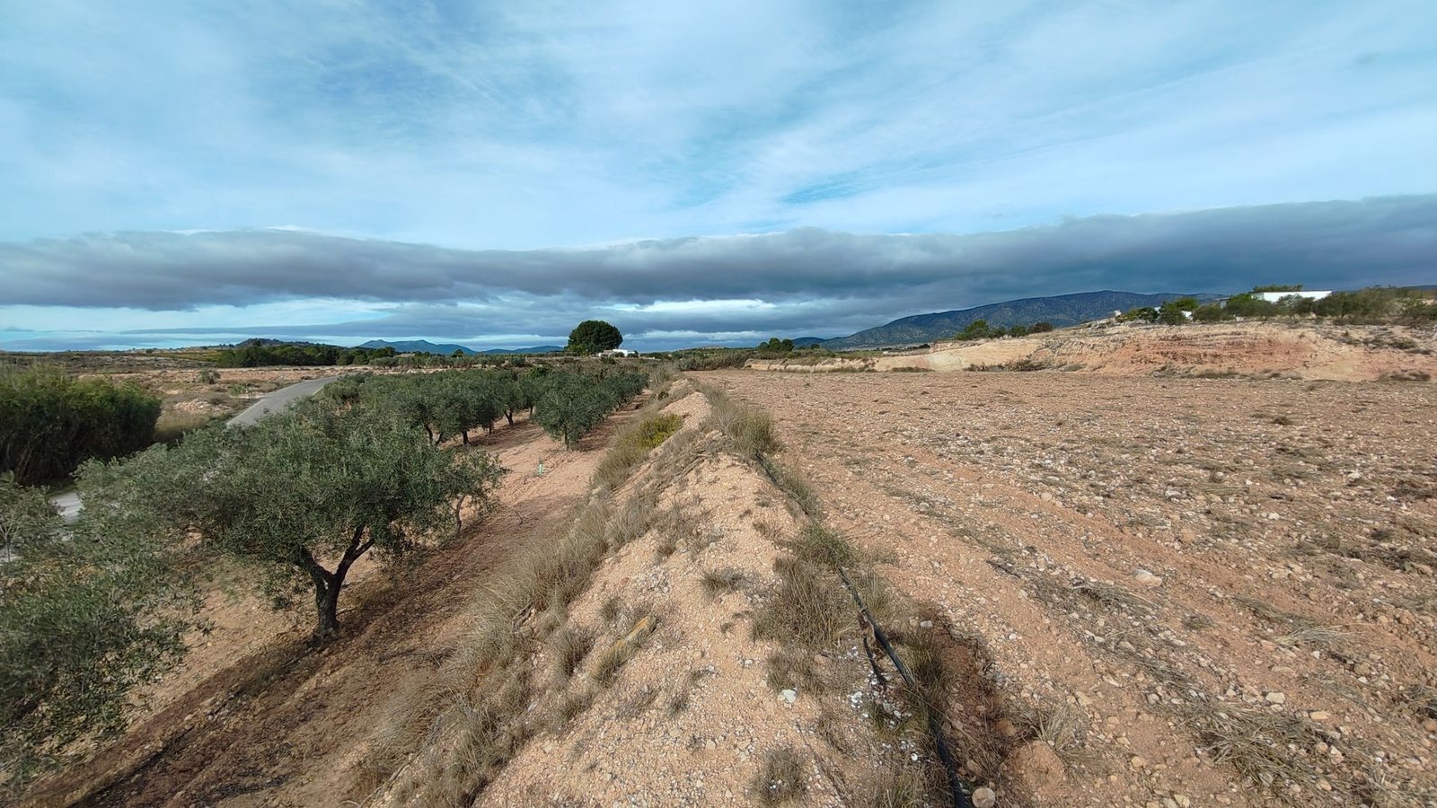 d69b8f4653922569b8f4653926b