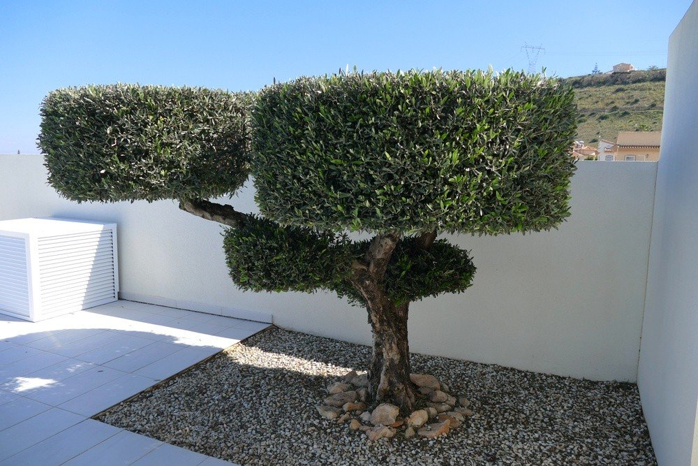 full_1528066_66322715