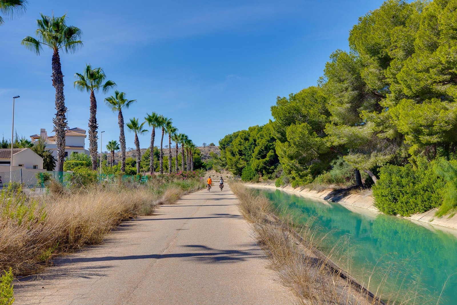 o_1j6fcnldn186jcl2frt89fipp3t