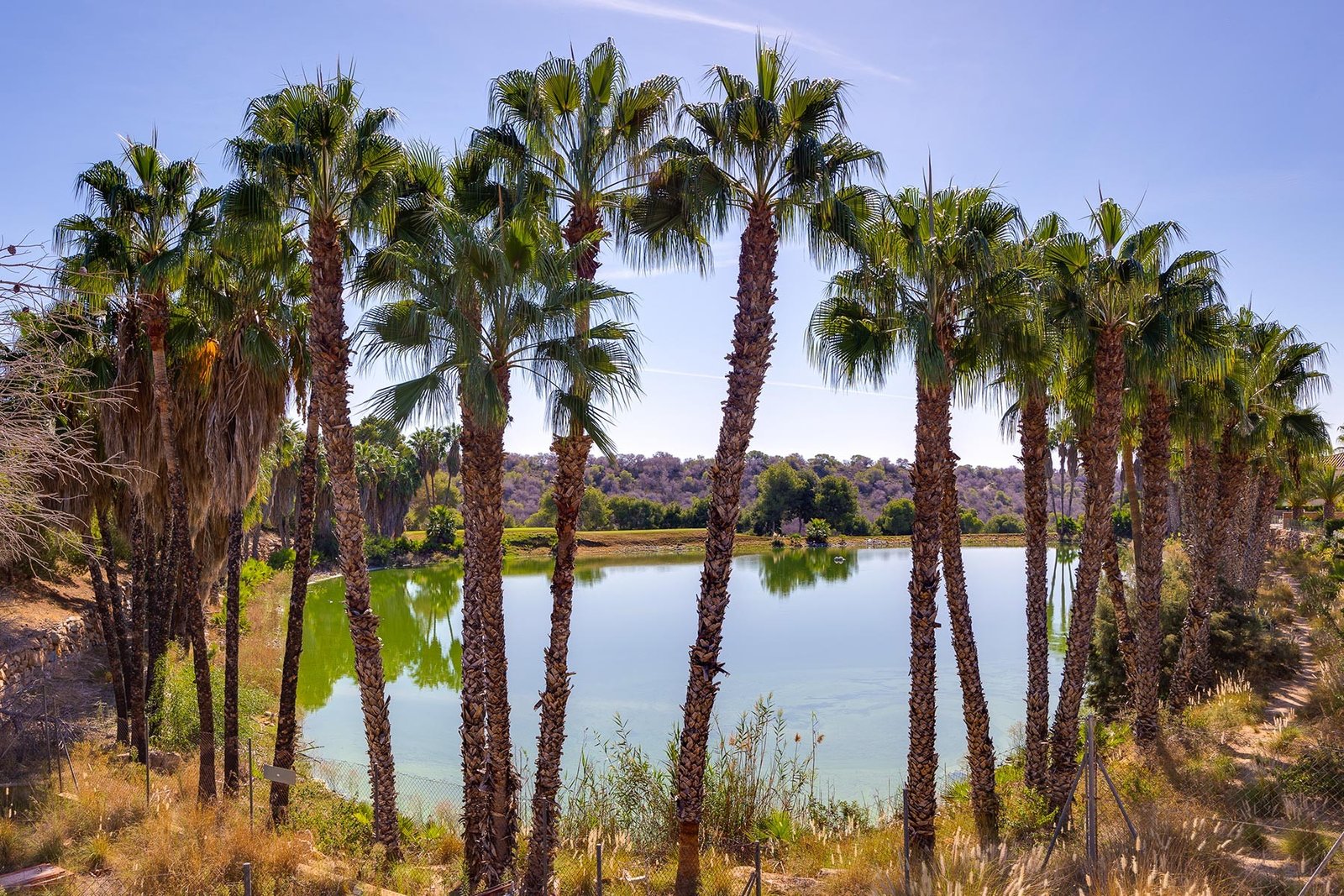 o_1j6fcnldn1n24r213kg10qeo683u