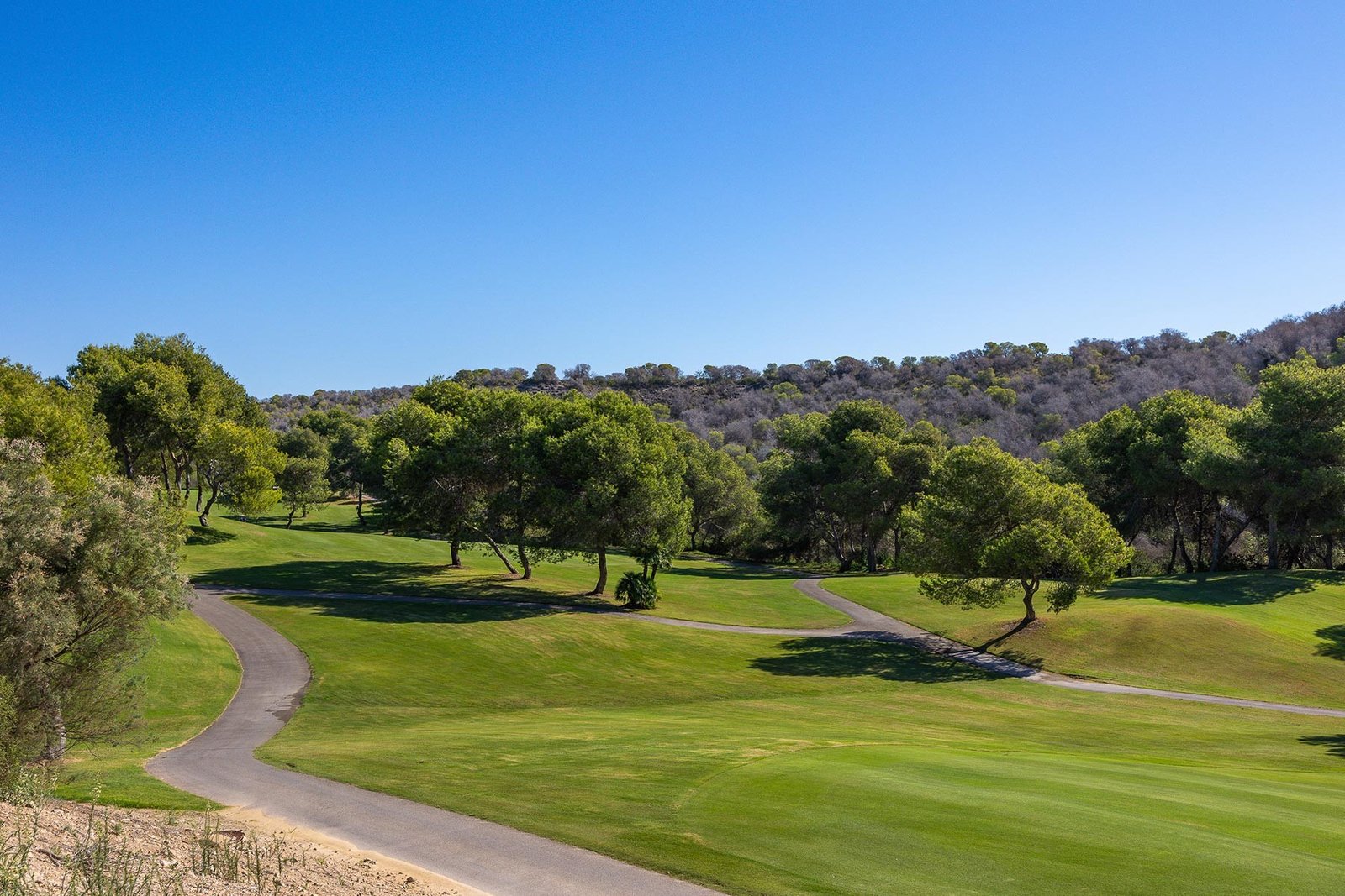 o_1j6fcnldndnm1jksu2l9l2u8j2q