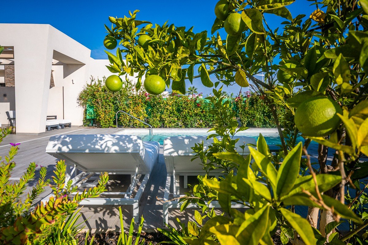 o_1j7egngd8c6bg1c1ln51i8gv973a