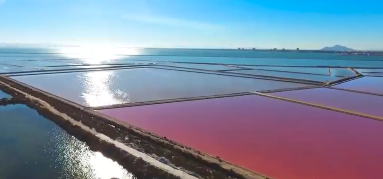 o_1jftqt7hj1feqc701hij4et18f8a9