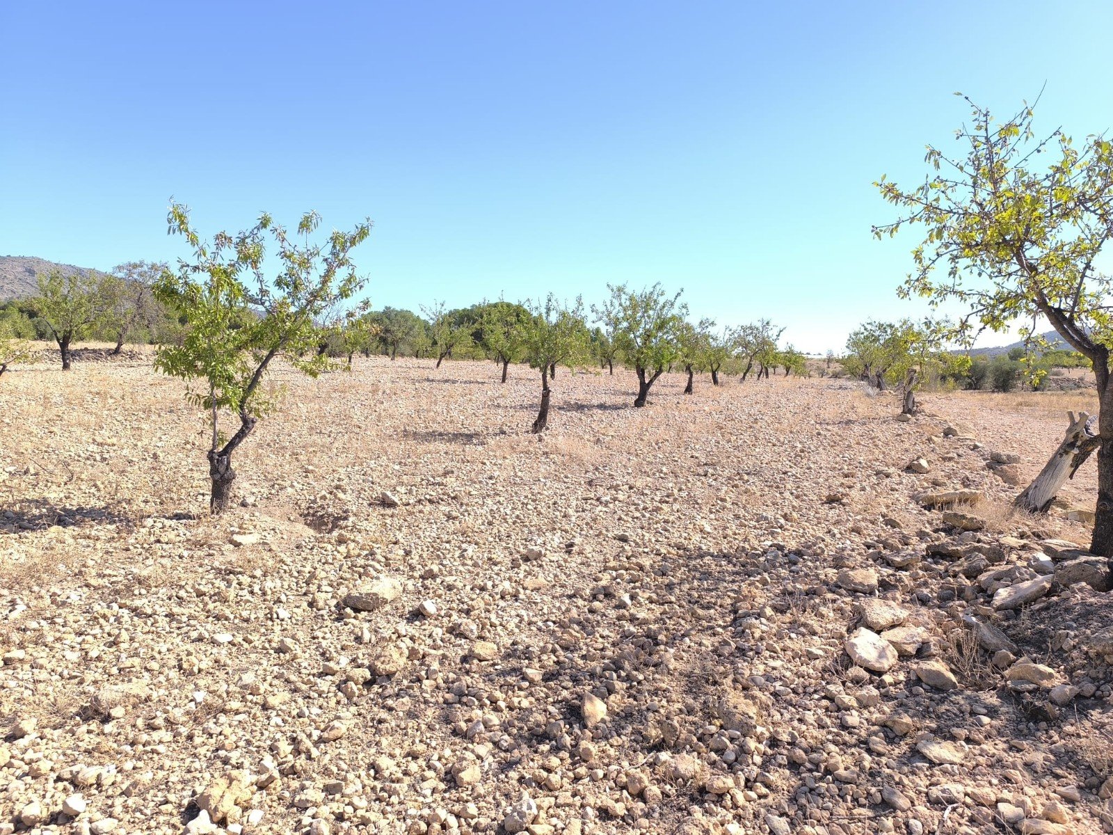 o_1jga8rqmso3dki3mes1vcauos1h