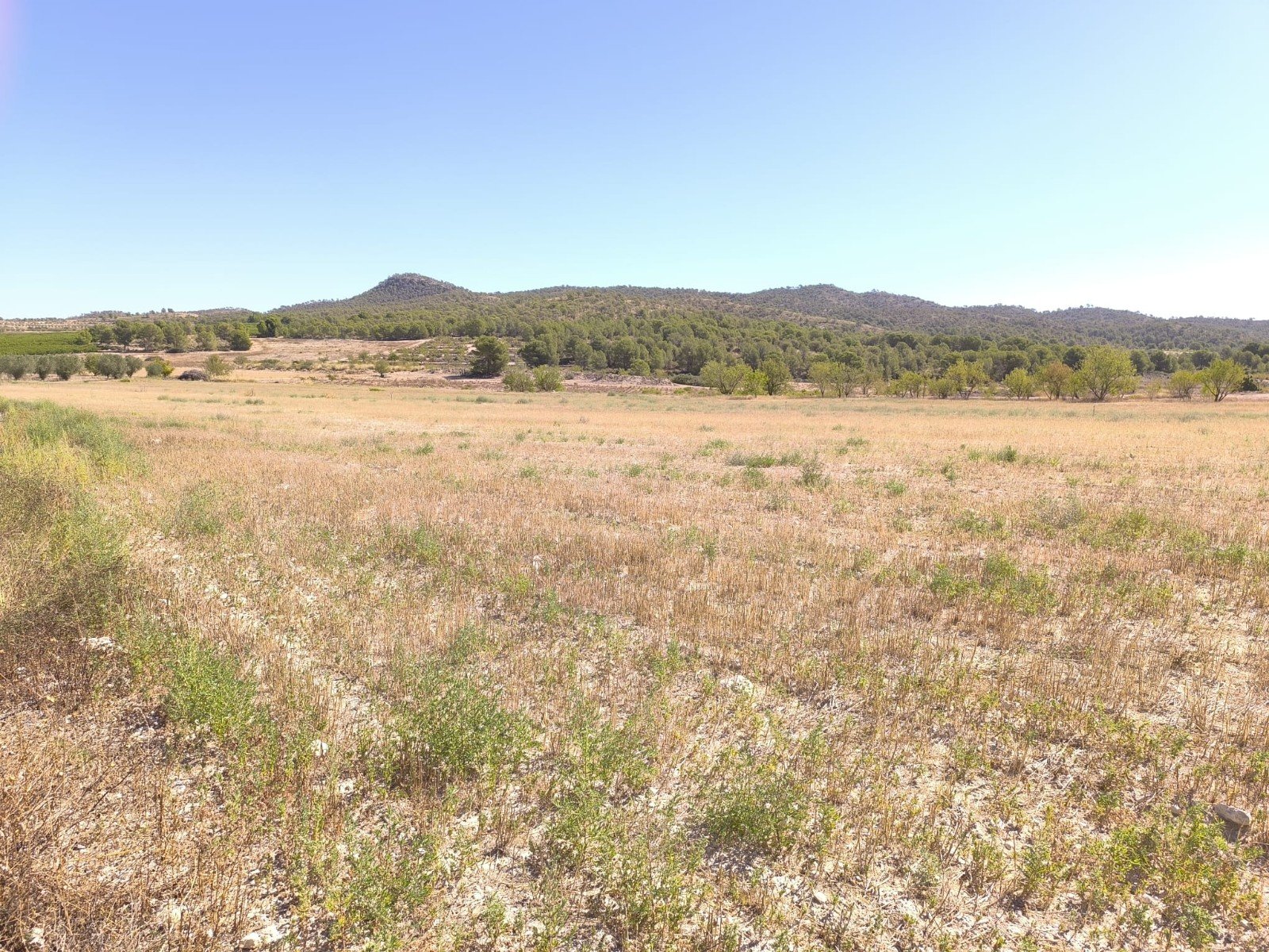 o_1jga9n6tt15t81pte199sq871dna1g