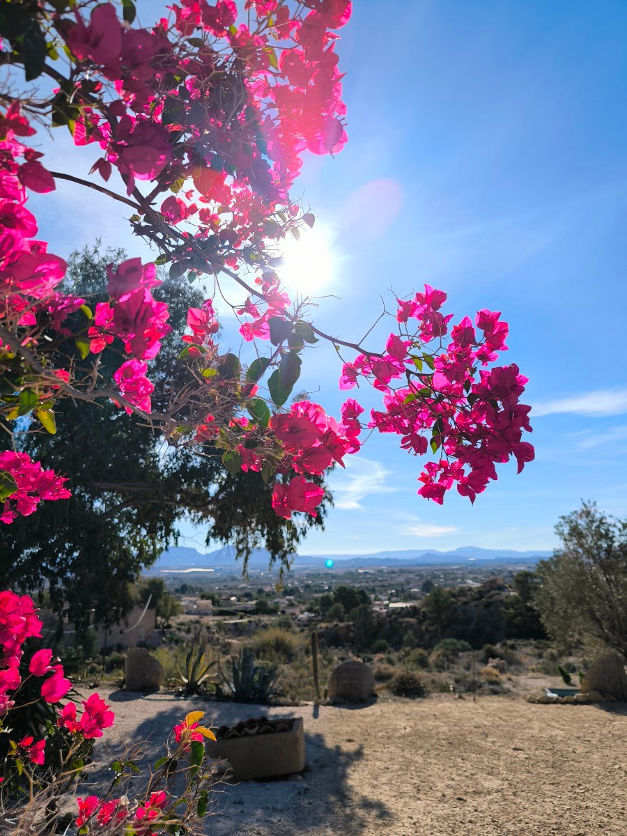 o_1jh92d10j12kog8fsth15ug1fec35