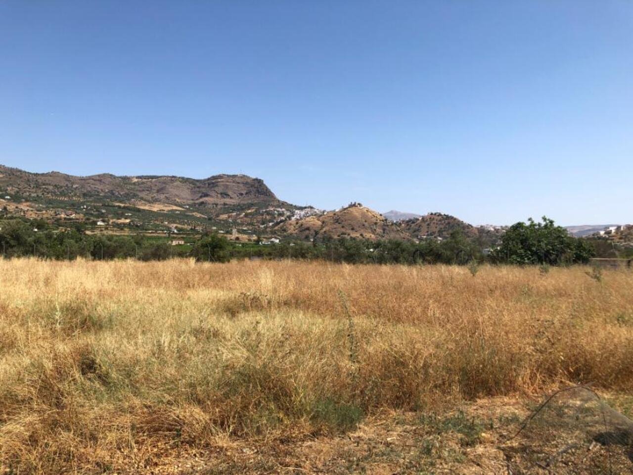 113611-property-for-sale-in-alora-84048293-large