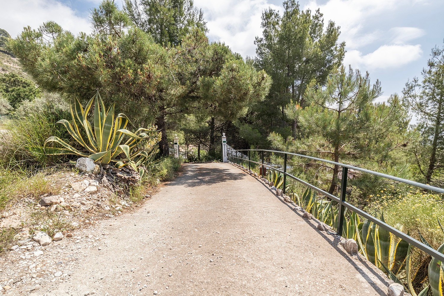 web-garden-12