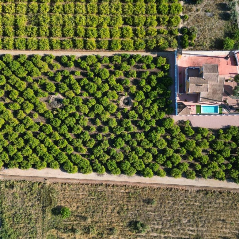 finca orihuela mnh8588325 1