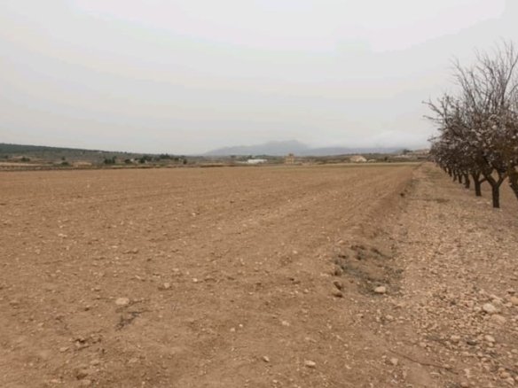 d66420909663df6642090966427