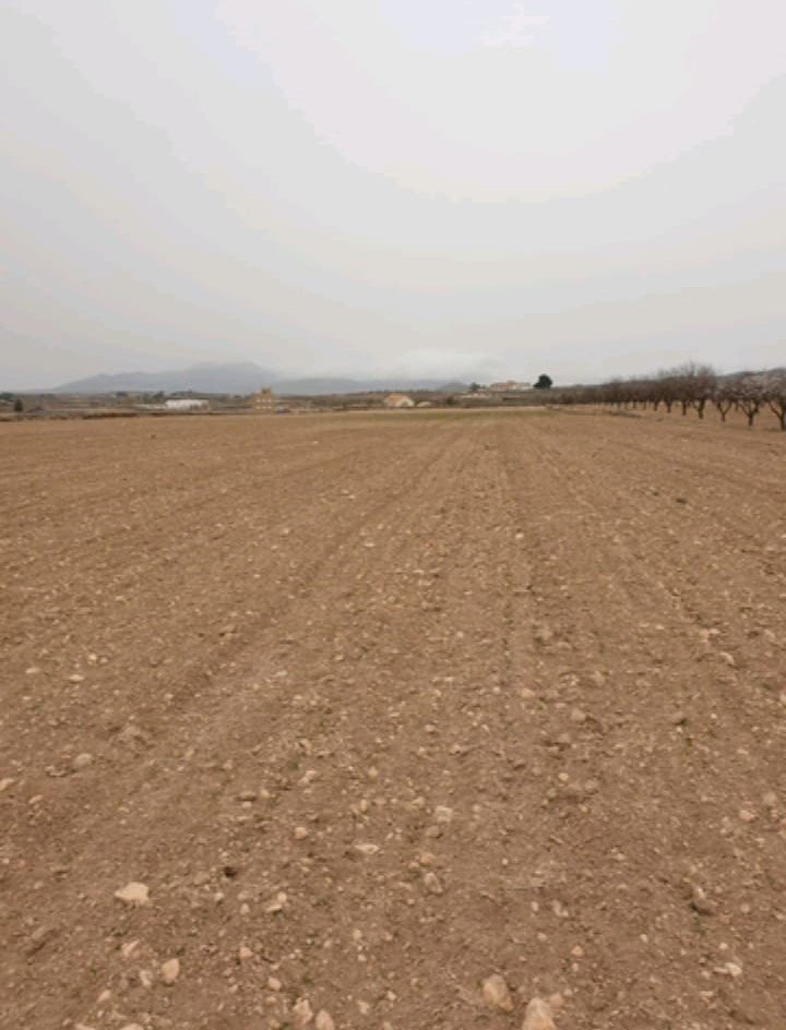d6642090968c896642090968cd1