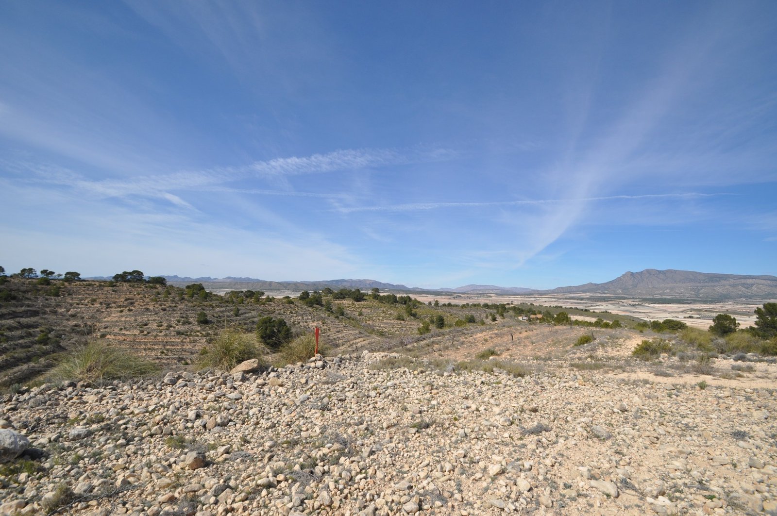 d69b8ee99f194f69b8ee99f1996