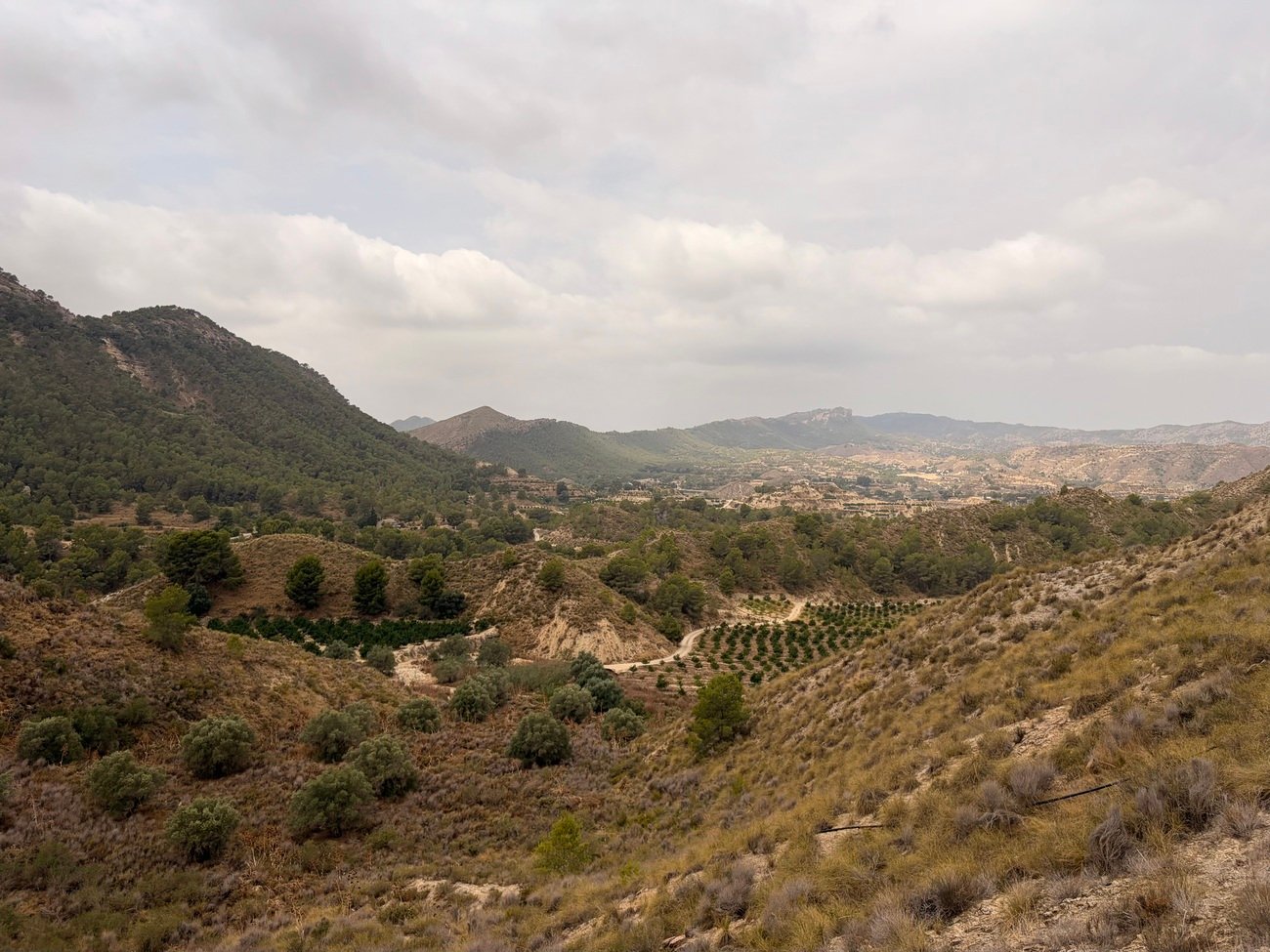 finca-gea-y-truyols-kgdm2501-71