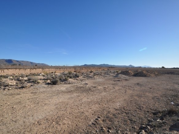o 1ikhcpkm81psj1mau145f47kcrf1e