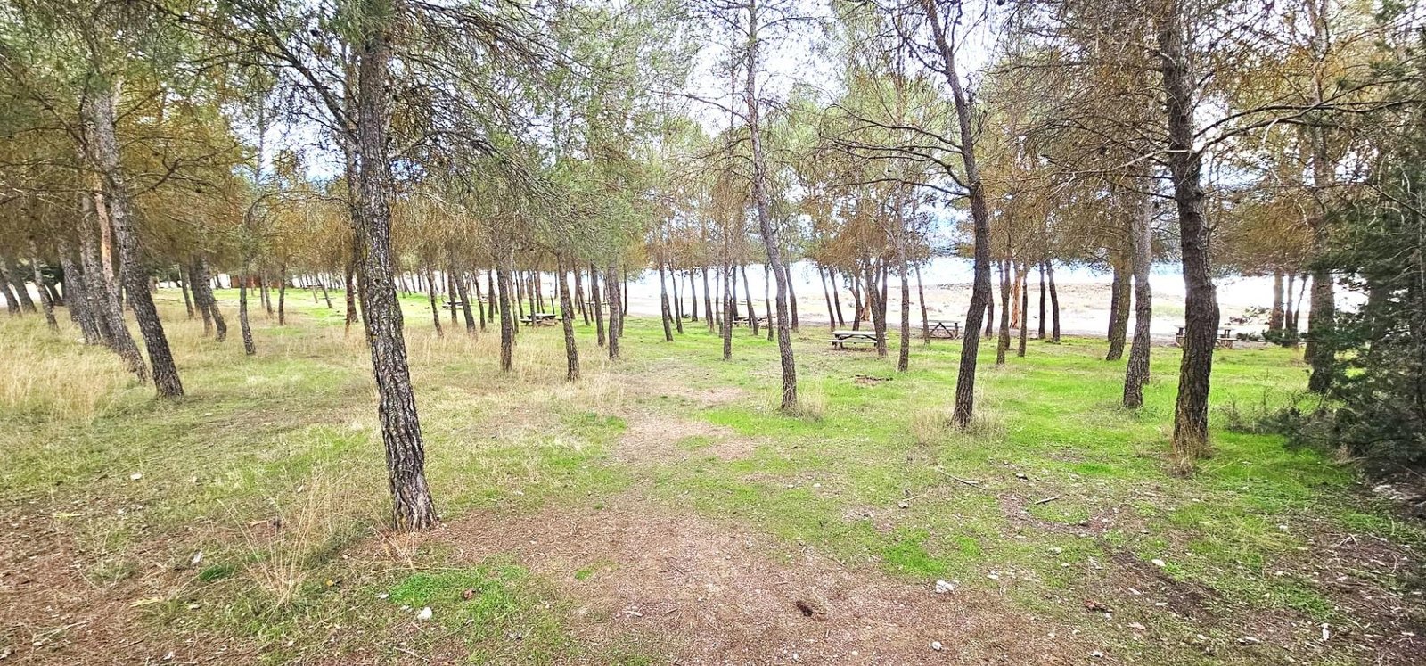 2-49