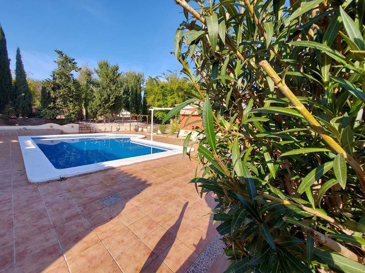 959-villa-for-sale-in-calasparra-25801-large