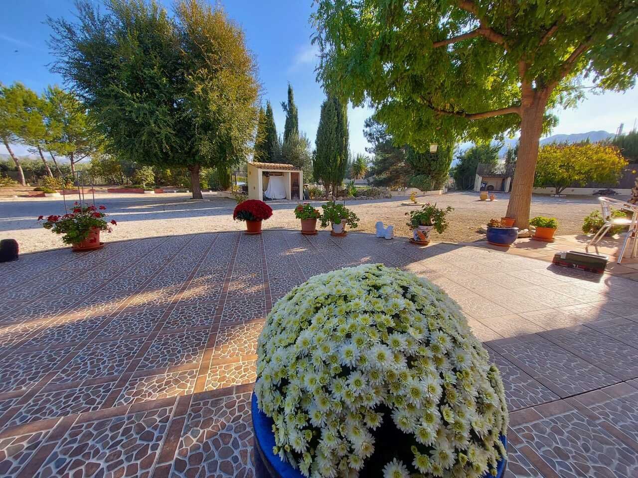 959-villa-for-sale-in-calasparra-25809-large