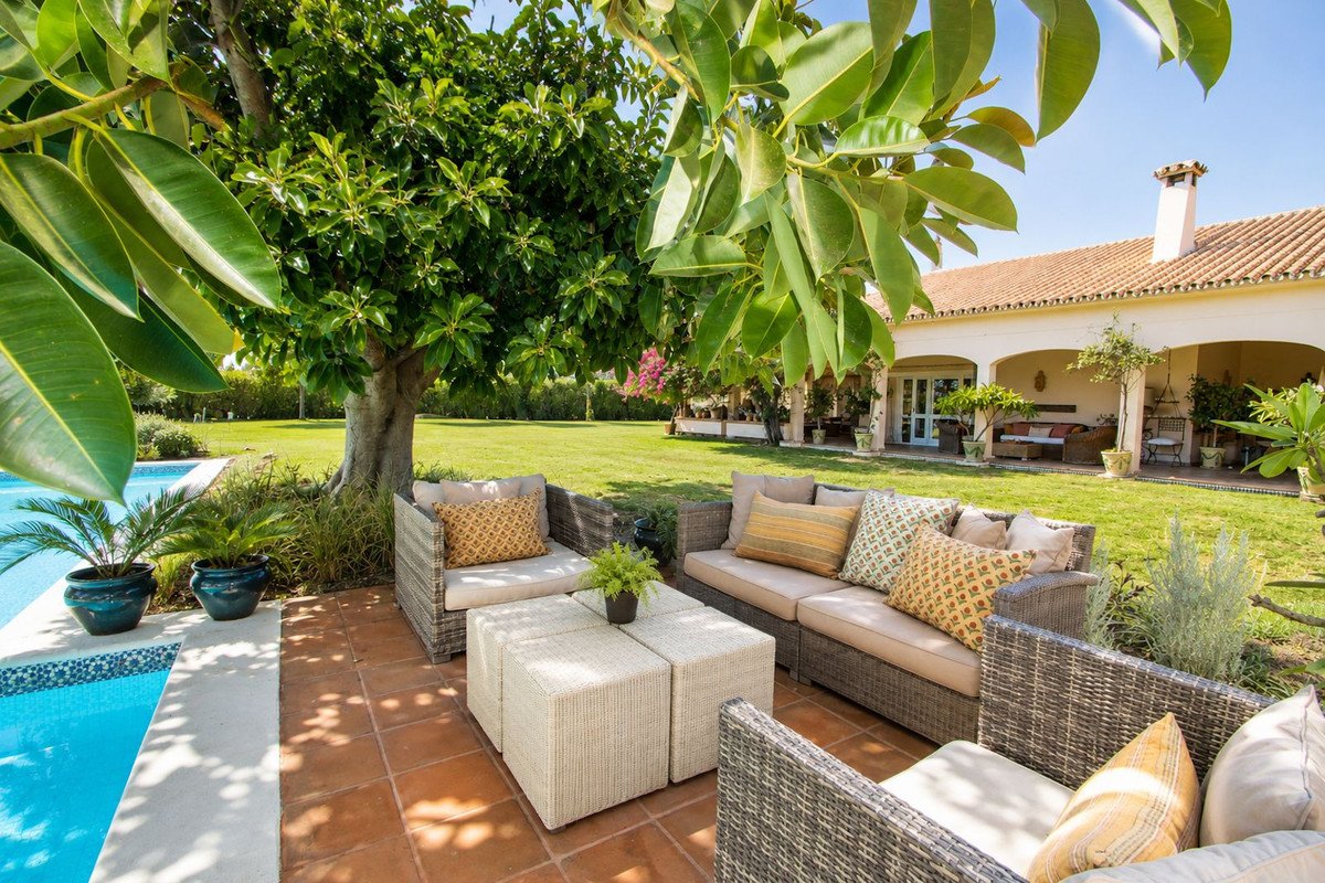 ShowFeedImage